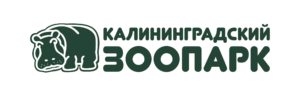 лого на сайт